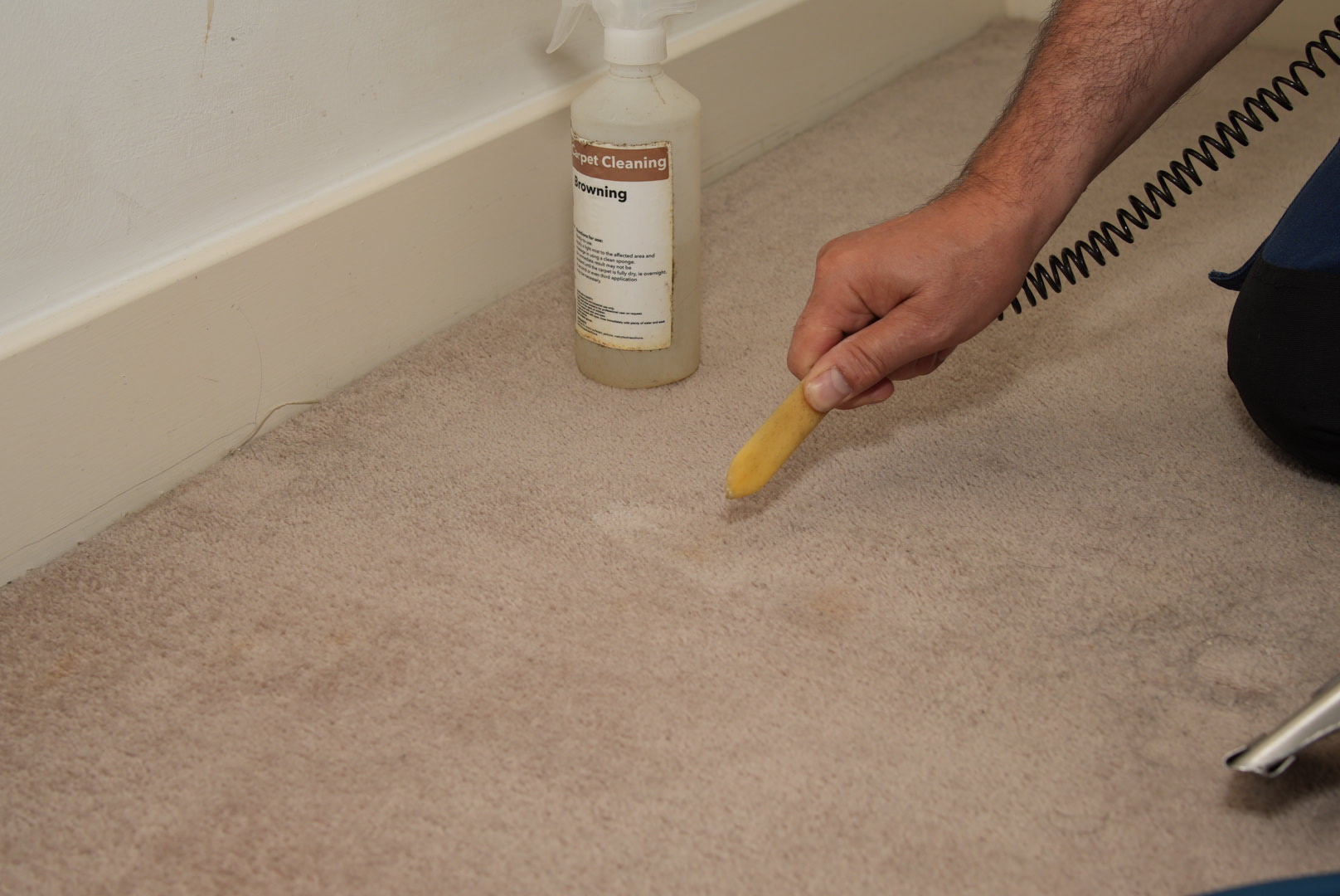 carpet-cleaning -bexley